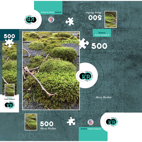 Macro Photography: Mossy Rooftop 500 Jigsaw Puzzle box 3D Modell