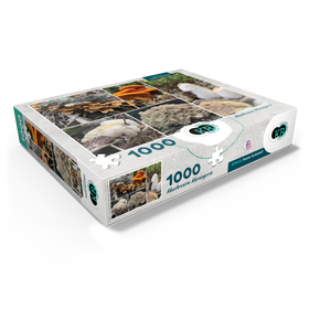 1000