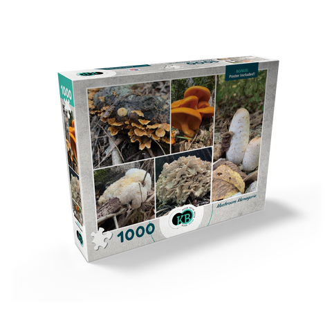 Nature Photography: Mushrooms Collage 1000 Jigsaw Puzzle box view2