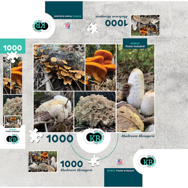 Nature Photography: Mushrooms Collage 1000 Jigsaw Puzzle box 3D Modell