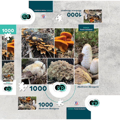 Nature Photography: Mushrooms Collage 1000 Jigsaw Puzzle box 3D Modell