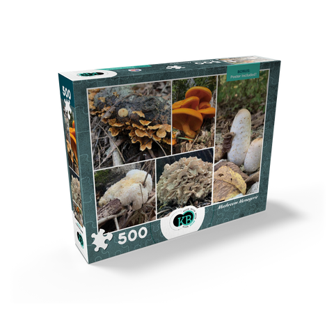 Nature Photography: Mushrooms Collage 500 Jigsaw Puzzle box view2