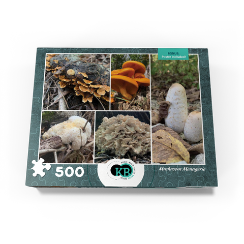 Nature Photography: Mushrooms Collage 500 Jigsaw Puzzle box view3