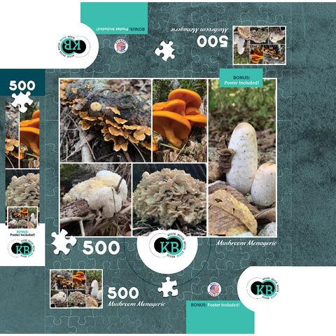 Nature Photography: Mushrooms Collage 500 Jigsaw Puzzle box 3D Modell