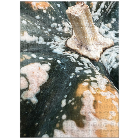puzzleplate Macro Photography: Ornamental Pumpkin, no.1 1000 Jigsaw Puzzle