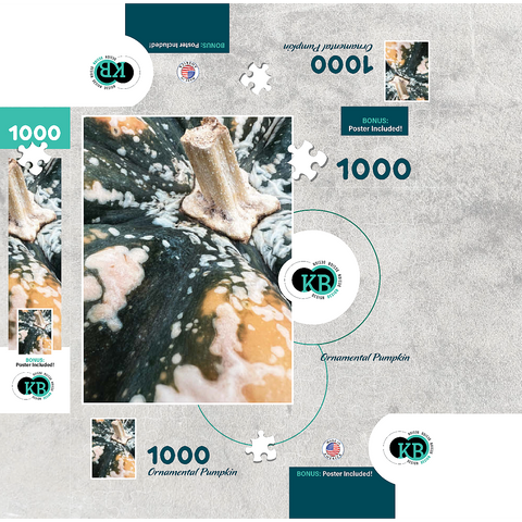 Macro Photography: Ornamental Pumpkin, no.1 1000 Jigsaw Puzzle box 3D Modell