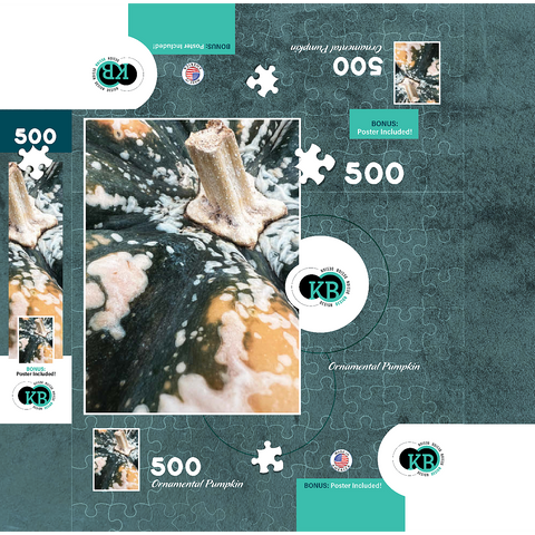 Macro Photography: Ornamental Pumpkin, no.1 500 Jigsaw Puzzle box 3D Modell