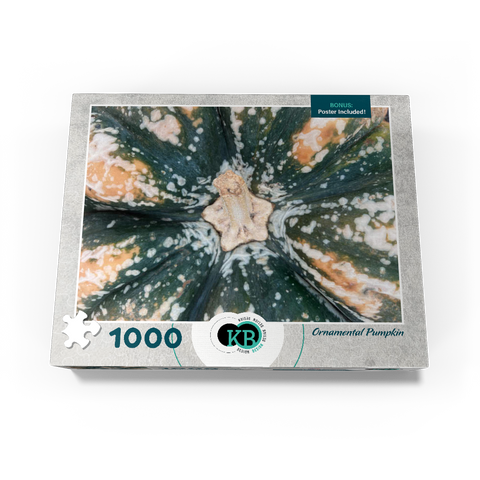 Macro Photography: Ornamental Pumpkin, no.2 1000 Jigsaw Puzzle box view3