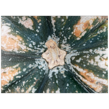 puzzleplate Macro Photography: Ornamental Pumpkin, no.2 1000 Jigsaw Puzzle