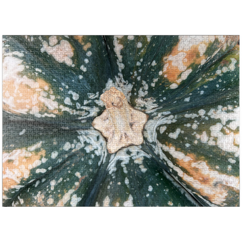 puzzleplate Macro Photography: Ornamental Pumpkin, no.2 1000 Jigsaw Puzzle