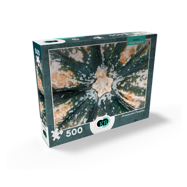 Macro Photography: Ornamental Pumpkin, no.2 500 Jigsaw Puzzle box view2