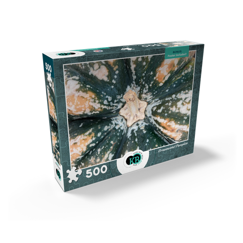 Macro Photography: Ornamental Pumpkin, no.2 500 Jigsaw Puzzle box view2