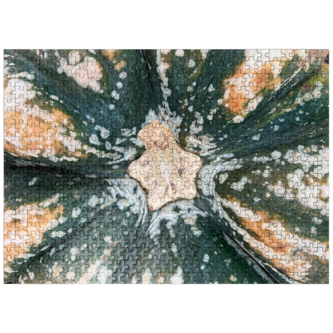 puzzleplate Macro Photography: Ornamental Pumpkin, no.2 500 Jigsaw Puzzle