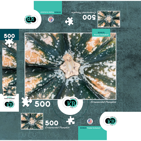 Macro Photography: Ornamental Pumpkin, no.2 500 Jigsaw Puzzle box 3D Modell