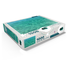 1000