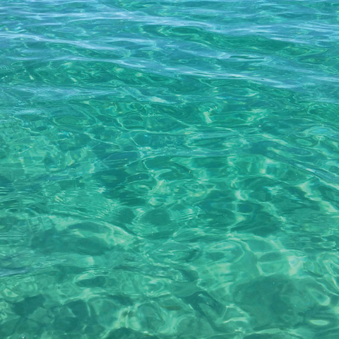 Nature Photography: Tranquil Waters, Sleeping Bear Dunes, Michigan 1000 Jigsaw Puzzle 3D Modell