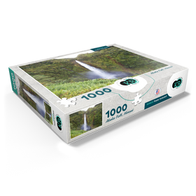 1000