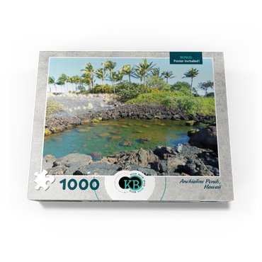 Hawaii, The Big Island: Anchialine Ponds 1000 Jigsaw Puzzle box view3