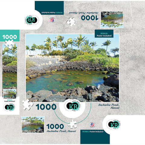 Hawaii, The Big Island: Anchialine Ponds 1000 Jigsaw Puzzle box 3D Modell