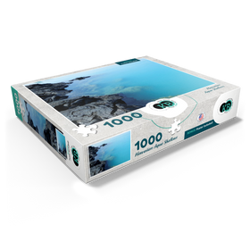 1000