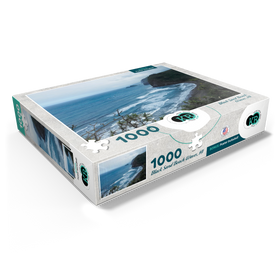 1000