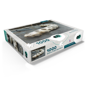 1000