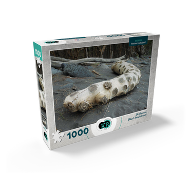 Hawaii, The Big Island: Driftwood, Black Sand Beach 1000 Jigsaw Puzzle box view2