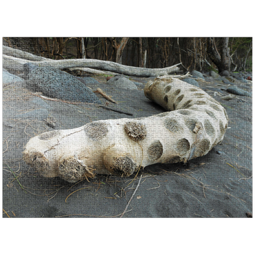 puzzleplate Hawaii, The Big Island: Driftwood, Black Sand Beach 1000 Jigsaw Puzzle