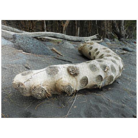puzzleplate Hawaii, The Big Island: Driftwood, Black Sand Beach 1000 Jigsaw Puzzle
