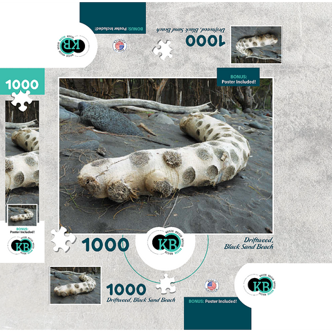 Hawaii, The Big Island: Driftwood, Black Sand Beach 1000 Jigsaw Puzzle box 3D Modell