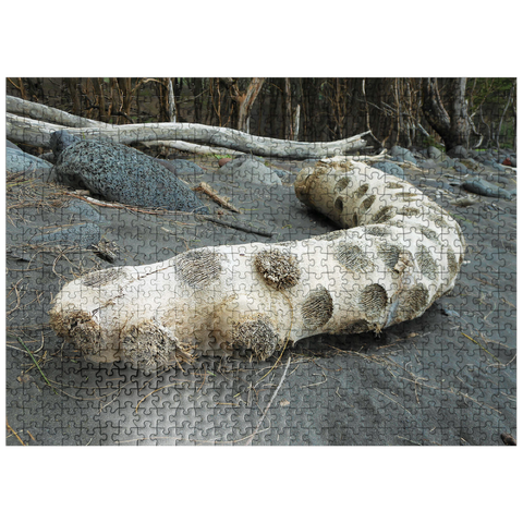 puzzleplate Hawaii, The Big Island: Driftwood, Black Sand Beach 500 Jigsaw Puzzle