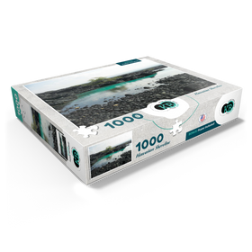 1000
