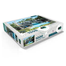 1000