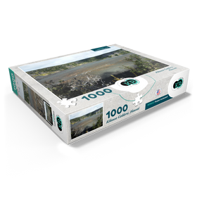 1000
