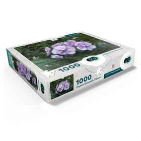 1000