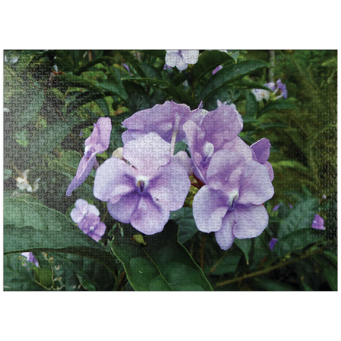 puzzleplate Hawaii, The Big Island: Lavender Island Flowers 1000 Jigsaw Puzzle