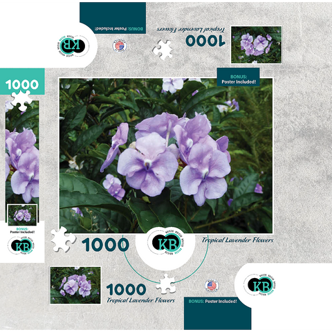 Hawaii, The Big Island: Lavender Island Flowers 1000 Jigsaw Puzzle box 3D Modell