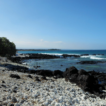 Hawaii, The Big Island: Rocky Pacific Shoreline 500 Jigsaw Puzzle 3D Modell