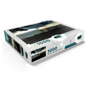 1000