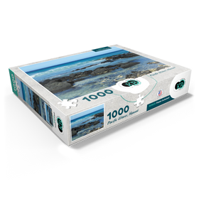 1000