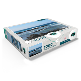 1000