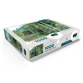 1000