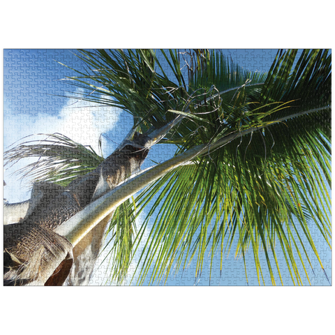 puzzleplate Hawaii, The Big Island: Palm Branches 1000 Jigsaw Puzzle