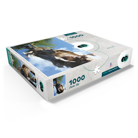 1000