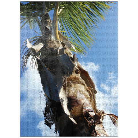 puzzleplate Hawaii, The Big Island: Palm Branches in the Sky 1000 Jigsaw Puzzle