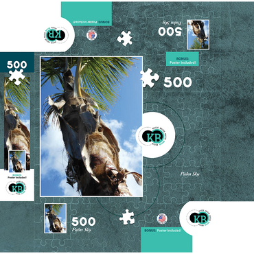 Hawaii, The Big Island: Palm Branches in the Sky 500 Jigsaw Puzzle box 3D Modell