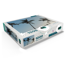 1000