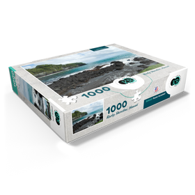 1000