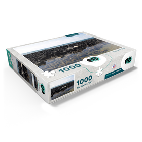 1000