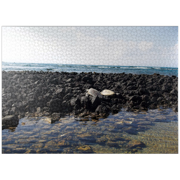 puzzleplate Hawaii, The Big Island: Sea Turtle Pair 1000 Jigsaw Puzzle
